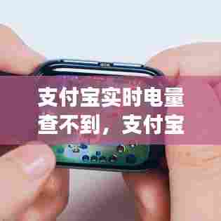 支付宝实时电量查不到,支付宝显示的电量是实时电量吗
