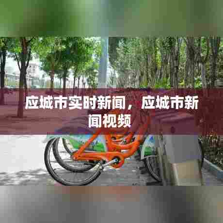 应城市实时新闻,应城市新闻视频