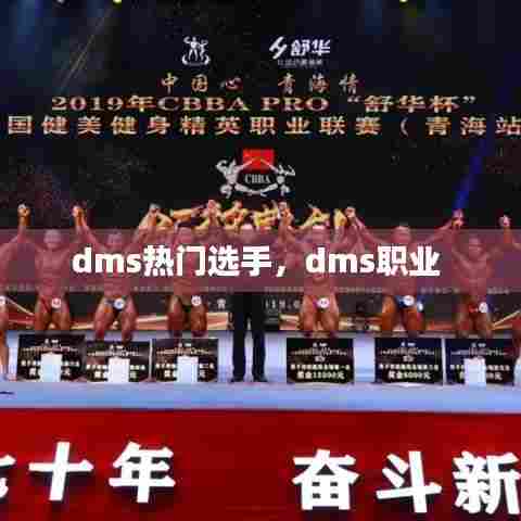 dms热门选手,dms职业