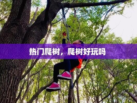 热门爬树,爬树好玩吗