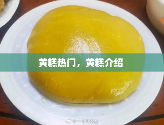 黄糕热门,黄糕介绍