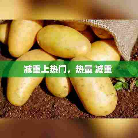 减重上热门,热量 减重