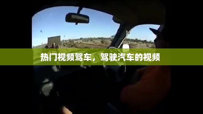 热门视频驾车,驾驶汽车的视频