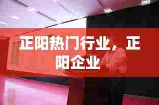 正阳热门行业,正阳企业