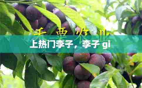 上热门李子,李子 gi