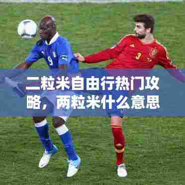 二粒米自由行热门攻略,两粒米什么意思