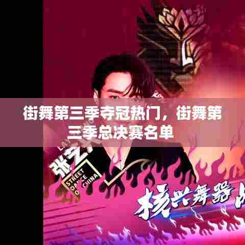 街舞第三季夺冠热门,街舞第三季总决赛名单
