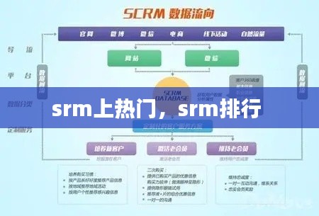 srm上热门,srm排行