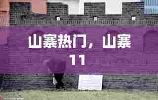 山寨热门，山寨11 