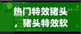 热门特效猪头,猪头特效软件