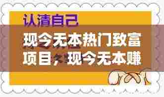 现今无本热门致富项目,现今无本赚钱的好项目
