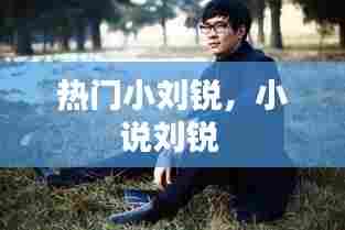 热门小刘锐,小说刘锐