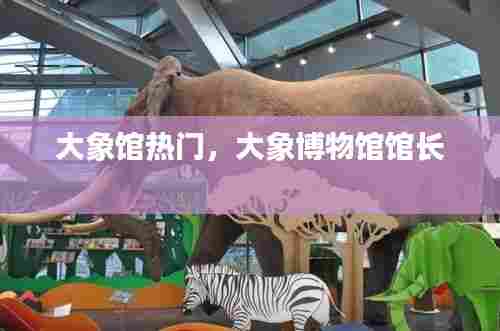 大象馆热门，大象博物馆馆长 