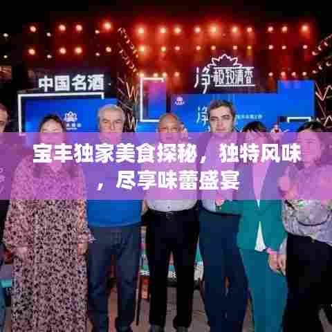 宝丰独家美食探秘,独特风味,尽享味蕾盛宴