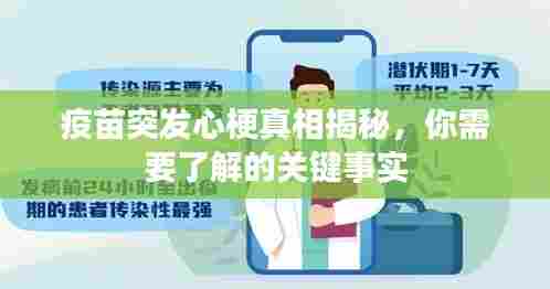 疫苗突发心梗真相揭秘,你需要了解的关键事实