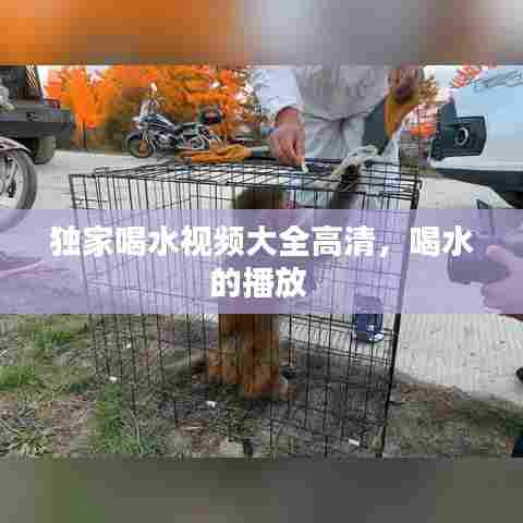 独家喝水视频大全高清,喝水的播放