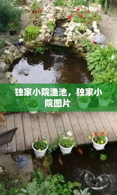 独家小院渔池,独家小院图片