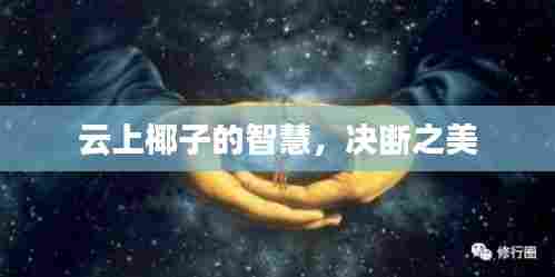 云上椰子的智慧,决断之美