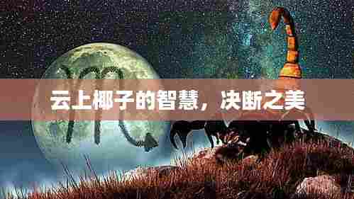云上椰子的智慧,决断之美