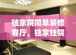 独家院简单装修客厅,独家独院装修