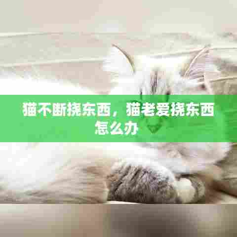 猫不断挠东西,猫老爱挠东西怎么办