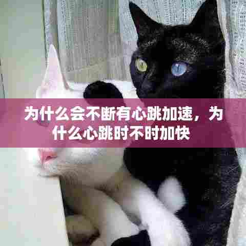 为什么会不断有心跳加速,为什么心跳时不时加快