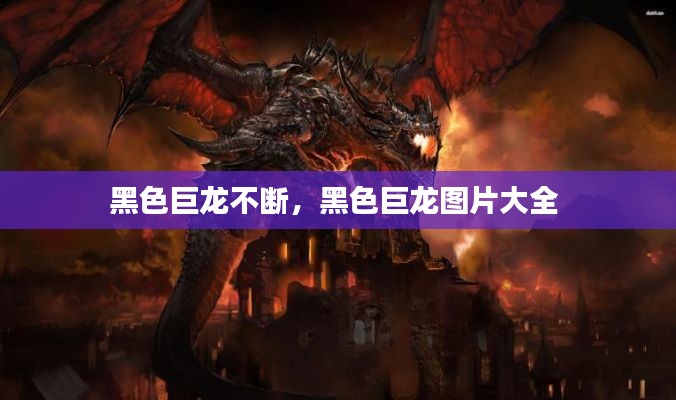 黑色巨龙不断,黑色巨龙图片大全