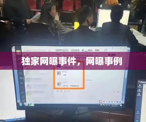 独家网曝事件,网曝事例
