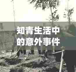 知青生活中的意外事件,揭秘突发事件背后的故事