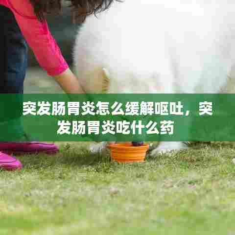 突发肠胃炎怎么缓解呕吐,突发肠胃炎吃什么药