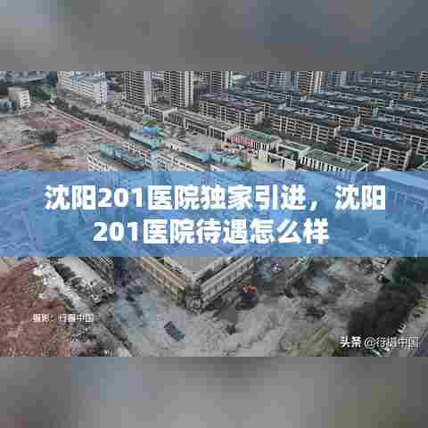 沈阳201医院独家引进,沈阳201医院待遇怎么样