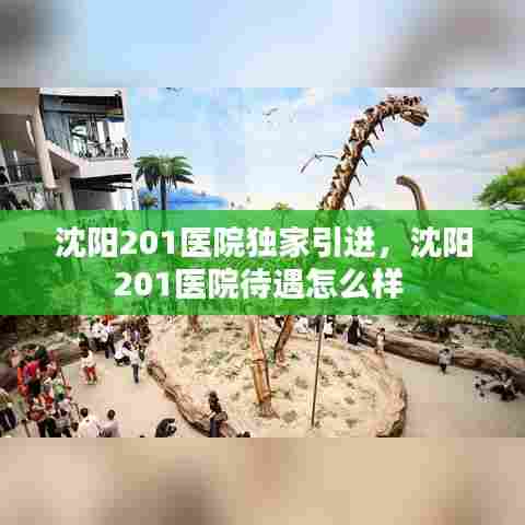 沈阳201医院独家引进,沈阳201医院待遇怎么样