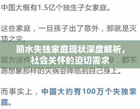 丽水失独家庭现状深度解析，社会关怀的迫切需求