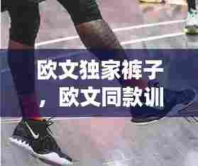 欧文独家裤子,欧文同款训练裤