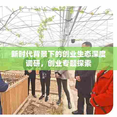 新时代背景下的创业生态深度调研,创业专题探索