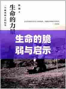 生命的脆弱与启示,身边人的疾病离世引发深思