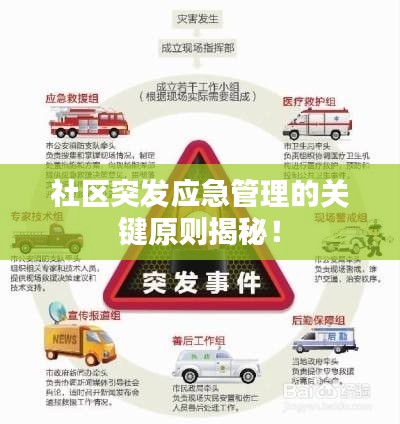 社区突发应急管理的关键原则揭秘！