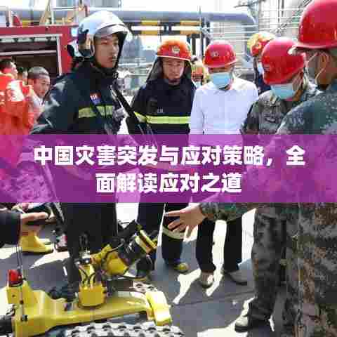 中国灾害突发与应对策略,全面解读应对之道