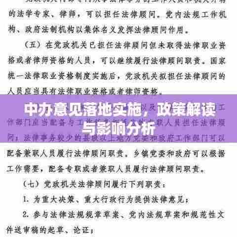 中办意见落地实施，政策解读与影响分析