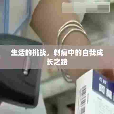生活的挑战,刺痛中的自我成长之路