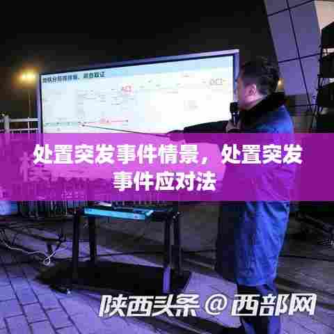 处置突发事件情景,处置突发事件应对法