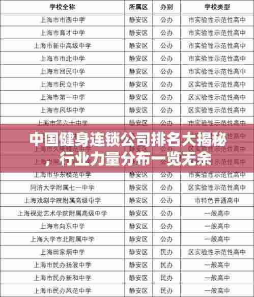 中国健身连锁公司排名大揭秘,行业力量分布一览无余
