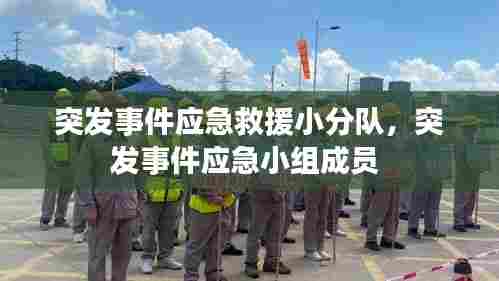 突发事件应急救援小分队,突发事件应急小组成员