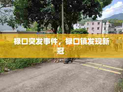 禄口突发事件,禄口镇发现新冠