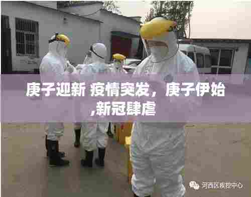 庚子迎新 疫情突发，庚子伊始,新冠肆虐 