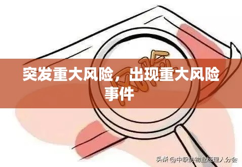 突发重大风险，出现重大风险事件 