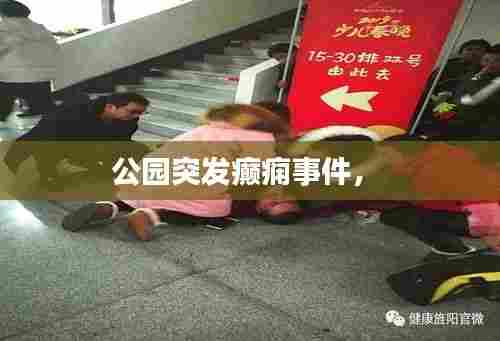 公园突发癫痫事件,