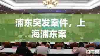 浦东突发案件,上海浦东案
