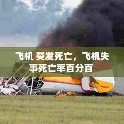飞机 突发死亡，飞机失事死亡率百分百 