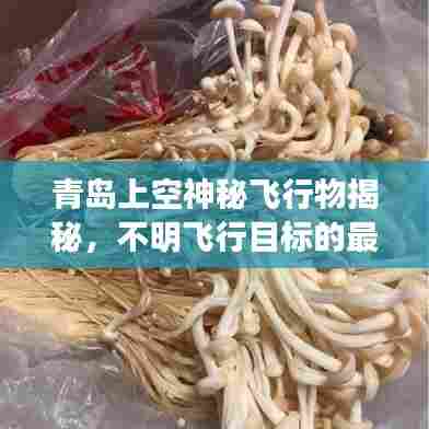青岛上空神秘飞行物揭秘,不明飞行目标的最新探索与消息速递